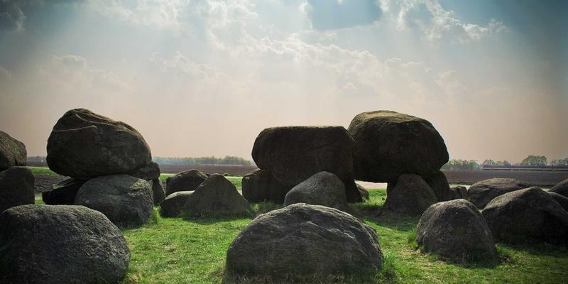 聊城杨木产区降本增效实战：从田间到工厂的物流与仓储成本控制全解析