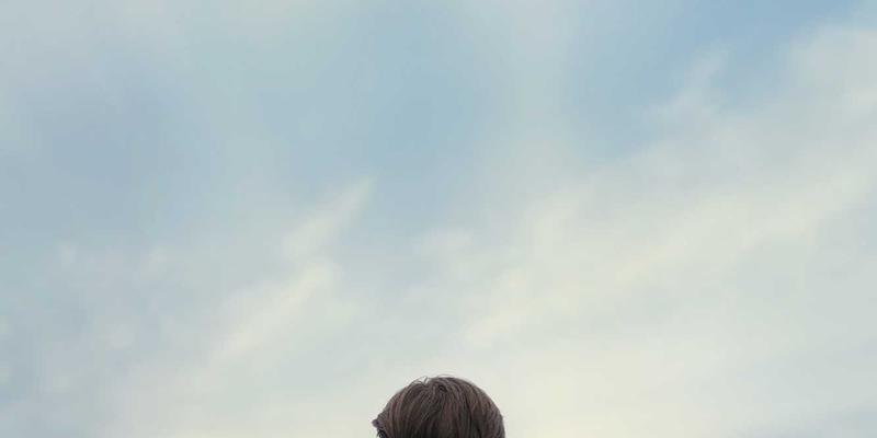 聊城杨木如何成为生态板基材的“绿色心脏”？深度解析其环保等级与物理性能