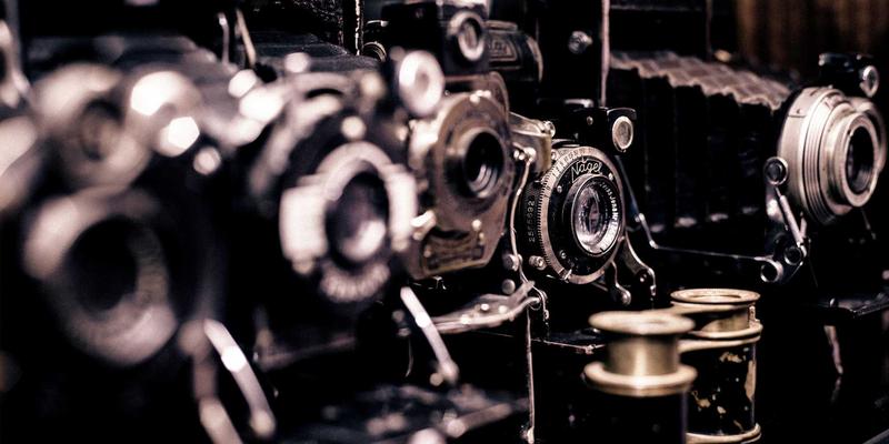 聊城杨木如何重塑酒店空间美学？从客房固装到公共木饰面的全案解析