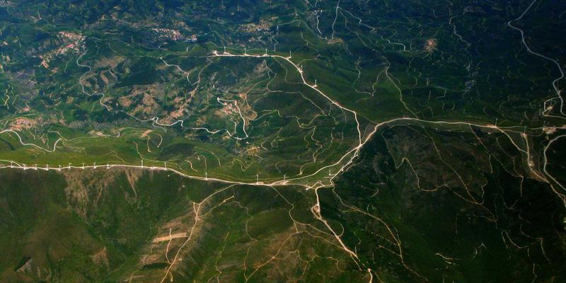 聊城杨木建筑木方质量全解析：含水率与承重性能的行业标准与选购指南