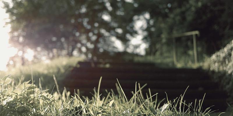 聊城杨木板材加工技术解析：从原木到优质板材的全程质量控制