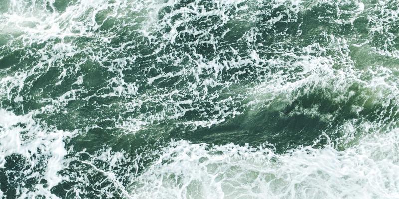 聊城杨木板材加工秘诀：科学干燥处理与防开裂全攻略