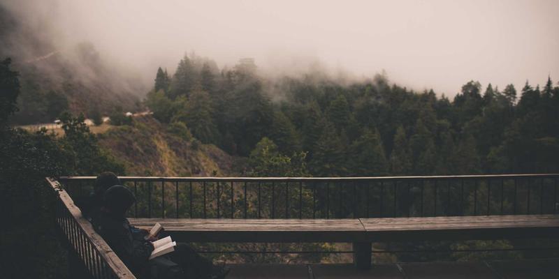 聊城杨木选购指南：5大核心指标，轻松鉴别优质与普通杨木板材